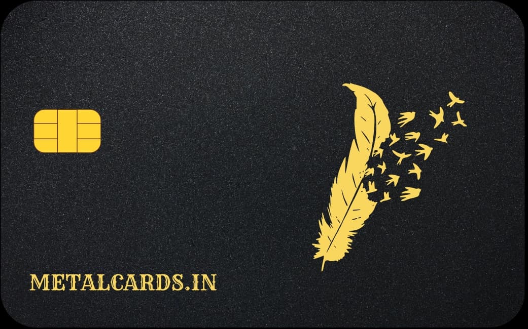 feather birds
